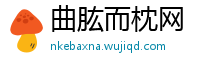 曲肱而枕网